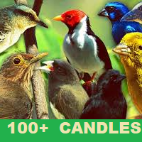 all-candlesticks-library-logo-200x200-5121