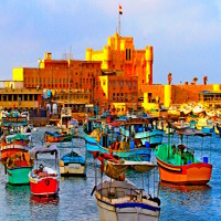 amar-ya-alexandria-ea2-logo-200x200-9138