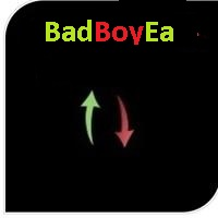 bad-boy-ea-logo-200x200-1806