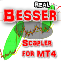 besser-logo-200x200-3001