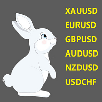 biaoxxxusd-logo-200x200-1411