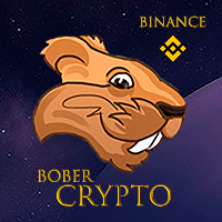 bober-crypto-mt5-logo-200x200-2355