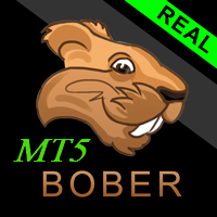 bober-real-mt5-logo-200x200-8889