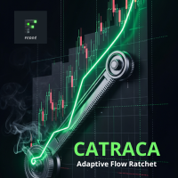 catraca-adaptive-flow-turnstile-logo-200x200-9041