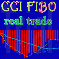 cci-fibo-logo-200x200-5521