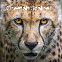 cheetah-scalper-logo-200x200-1009