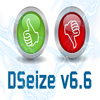 dseize-logo-200x200-1180