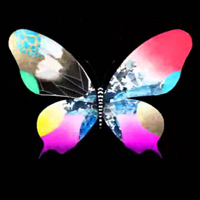 dual-horizontal-logo-200x200-9581