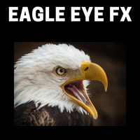 eagle-eye-fx-logo-200x200-5324