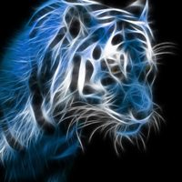 ephemeral-hunter-logo-200x200-5380