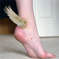 ermou-st-logo-200x200-5586