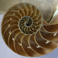 fibonacci-expansion-and-retracement-analysis-logo-200x200-3021