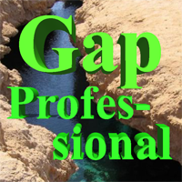 gap-professional-logo-200x200-6253