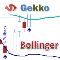 gekko-bollinger-plus-logo-200x200-9343