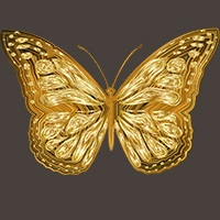 gold-butterfly-scalper-pro-logo-200x200-5867