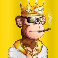 gold-monkey-logo-200x200-2230