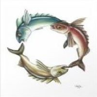 higher-profits-logo-200x200-7431