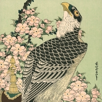 hukan-stand-alone-beta-logo-200x200-9489