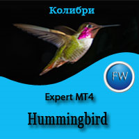 hummingbird-logo-200x200-5045