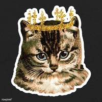 kingofcat-logo-200x200-6724
