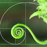 matrix-mt4-logo-200x200-1249