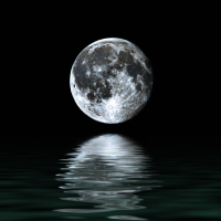 month-trend-logo-200x200-5807