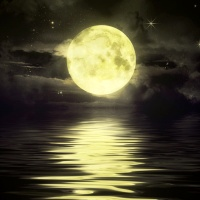 moonlight-scalper-logo-200x200-3410