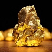 move-detector-logo-200x200-1685