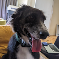 mt5ea-for-sp500-logo-200x200-8847