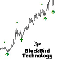 multi-level-trend-swing-logo-200x200-1800