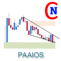 netsrac-paaios-logo-200x200-7330