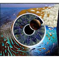 p-u-l-s-e-logo-200x200-4993