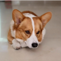 pentium-trend-logo-200x200-7045