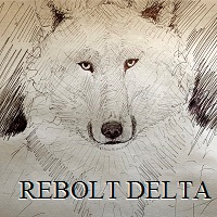 reboltdelta-logo-200x200-8609