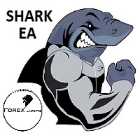 shark-expert-advisor-logo-200x200-5614