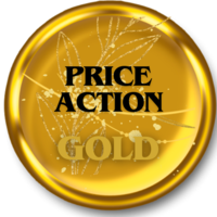 shinzuko-logo-200x200-5974