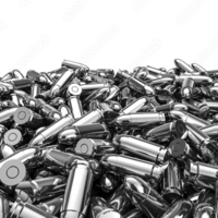 silver-bullets-catcher-logo-200x200-4877