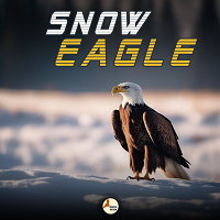 snow-eagle-logo-200x200-3072