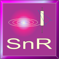 snr-logo-200x200-1346