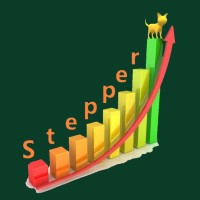 steppernewvision-logo-200x200-1245