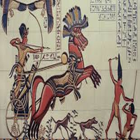 the-king-hedging-forex-logo-200x200-4969