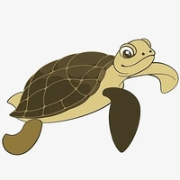 turtlelongtermmt5-logo-200x200-3427