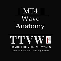 wave-anatomy-logo-200x200-8659