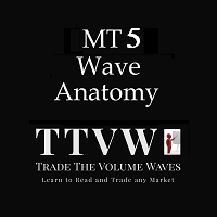 wave-anatomy-mt5-logo-200x200-4732