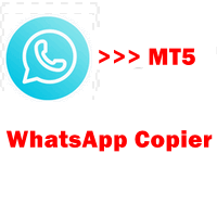 whatsapp-copier-to-mt5-logo-200x200-9168